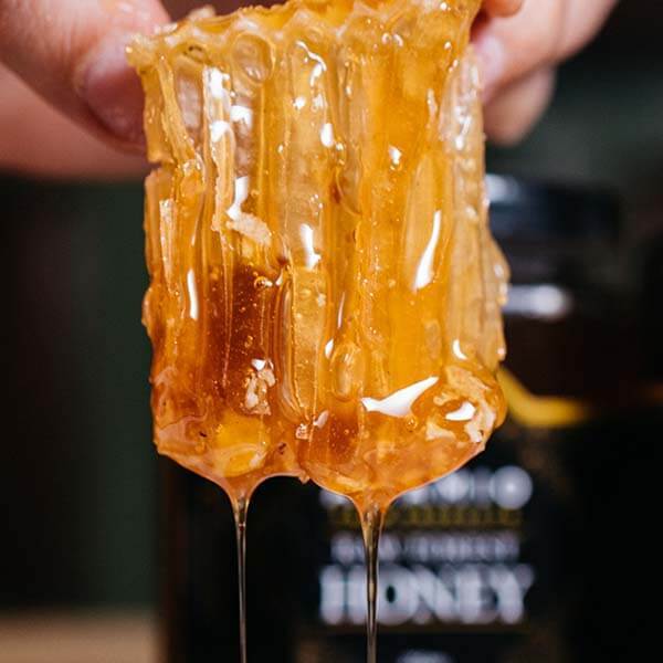 Premium Raw Forest Honey - Nature's Apothecary